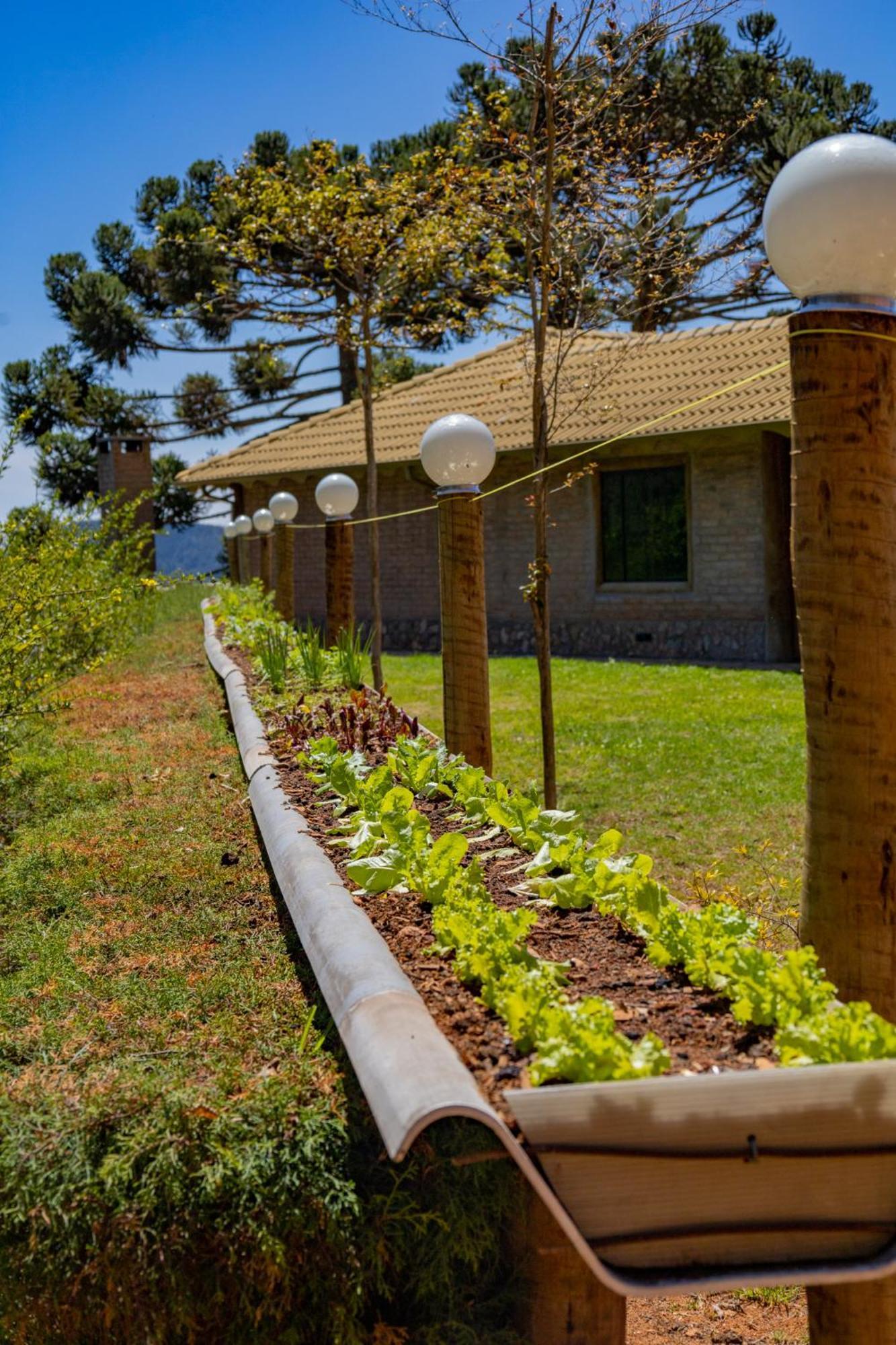 Casa Mundo Verde - Serra Da Mantiqueira 卡曼杜卡亚 外观 照片